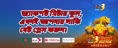 ভিআইপি ক্যাশব্যাক 🏆 promotion